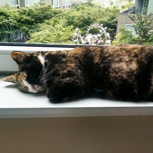 Meet your Posher, Meaghan